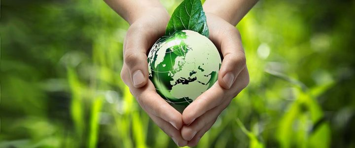 محیط زیست چیست؟ محیط زیست چیست