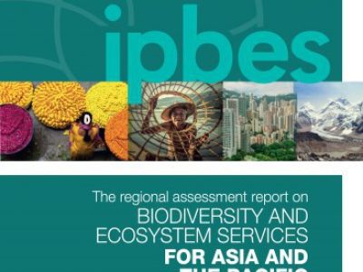ipbes